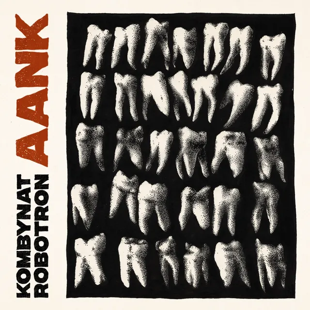 Kombynat Robotron AANK vinyle LP bone kraut psych