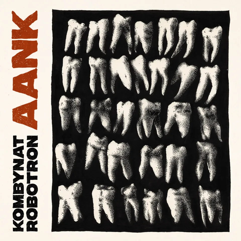 Kombynat Robotron AANK vinyle LP bone kraut psych