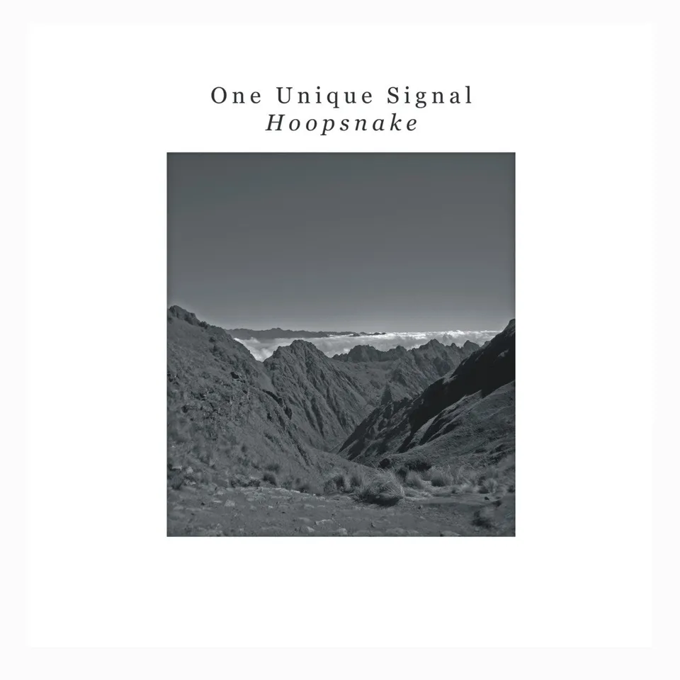 One Unique Signal Hoopsnake vinyle blanc 180g