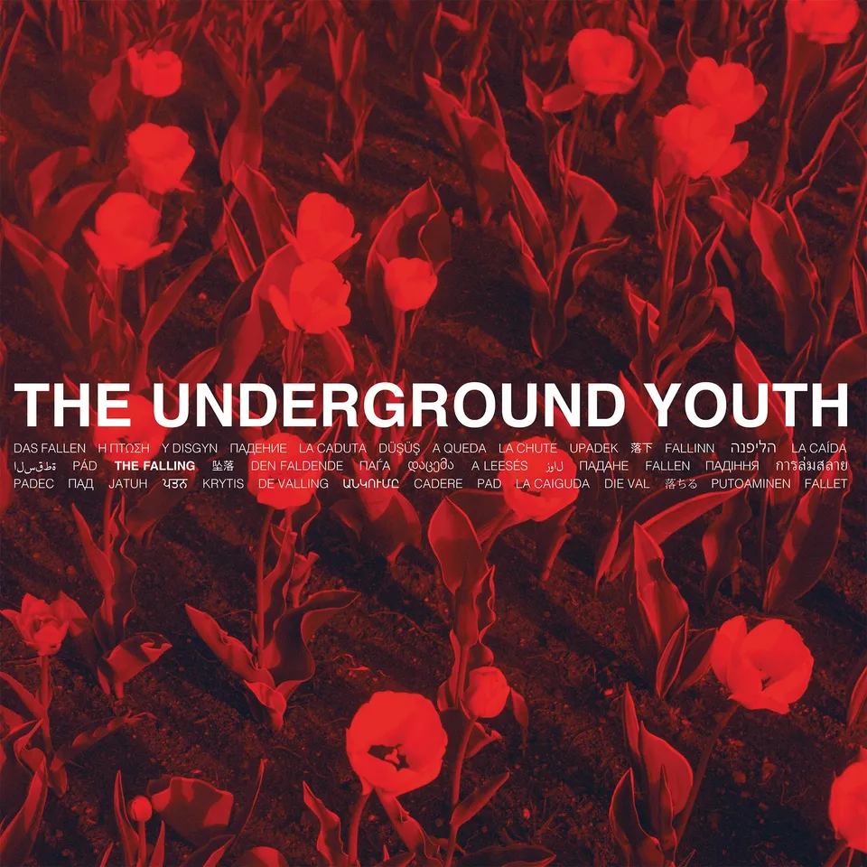 The Underground Youth The Falling CD folk-noir