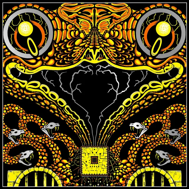 King Gizzard Live In San Diego 24 coffret 3LP bootleg