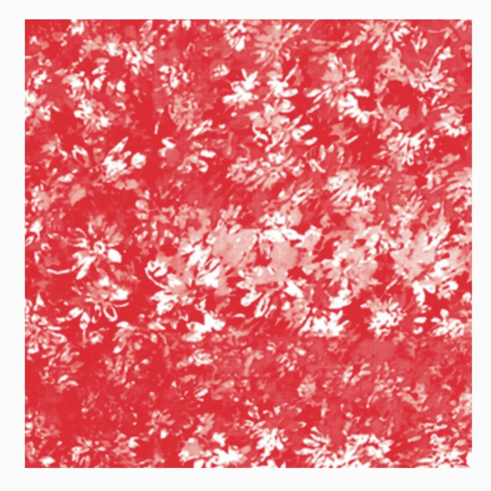 RMFTM Subversive II vinyle standard