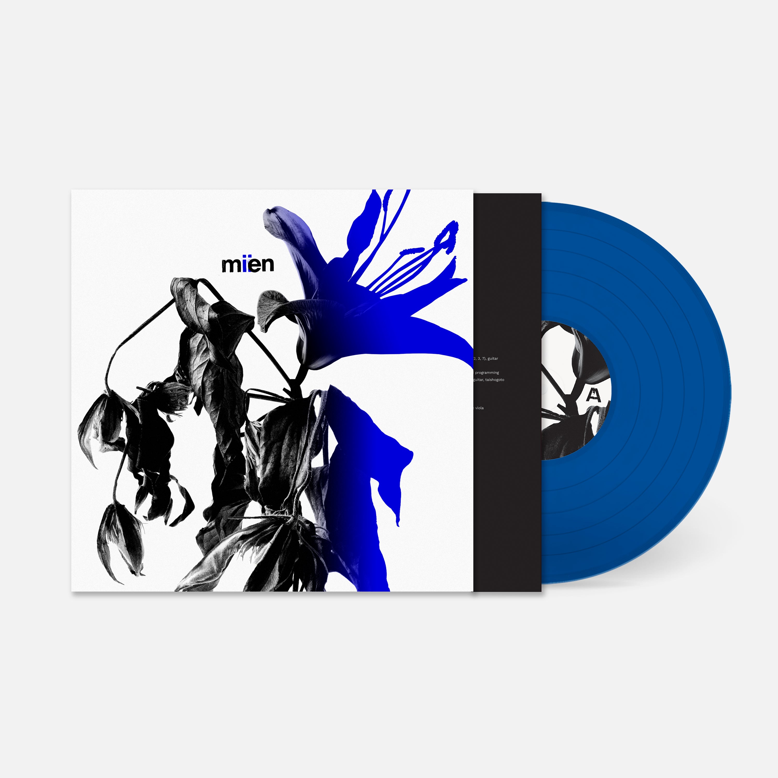 MIEN MIIEN vinyle gatefold deluxe 180g psyché