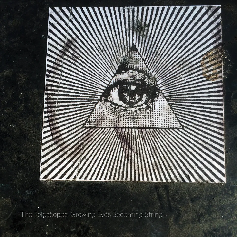 The Telescopes Growing Eyes Becoming String vinyle couleur