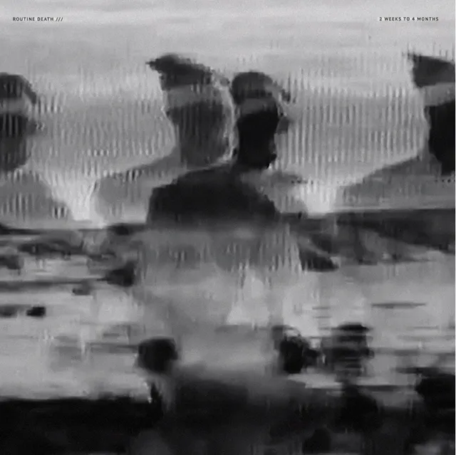Routine Death 2 Weeks To 4 Months vinyle album shoegaze