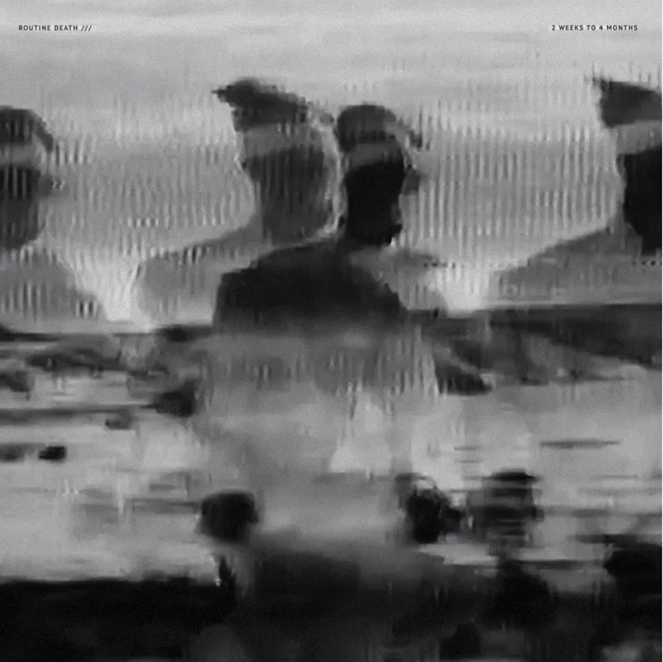 Routine Death 2 Weeks To 4 Months vinyle album shoegaze