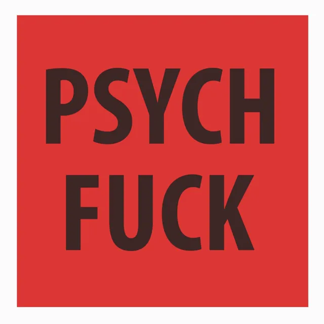 Singapore Sling Psych Fuck LP vinyle noir