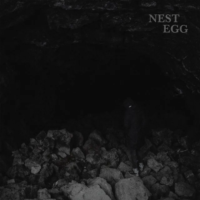 Nest Egg Nothingness Is Not A Curse vinyle standard
