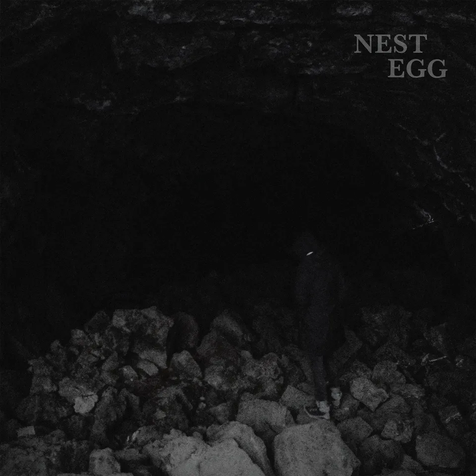 Nest Egg Nothingness Is Not A Curse vinyle standard